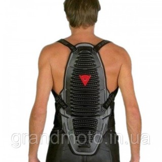 Защита спины Dainese